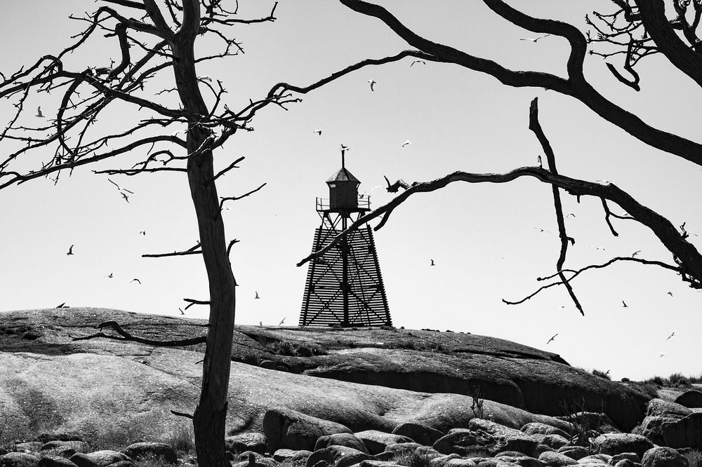 Фотография автора Ксения Зайцева