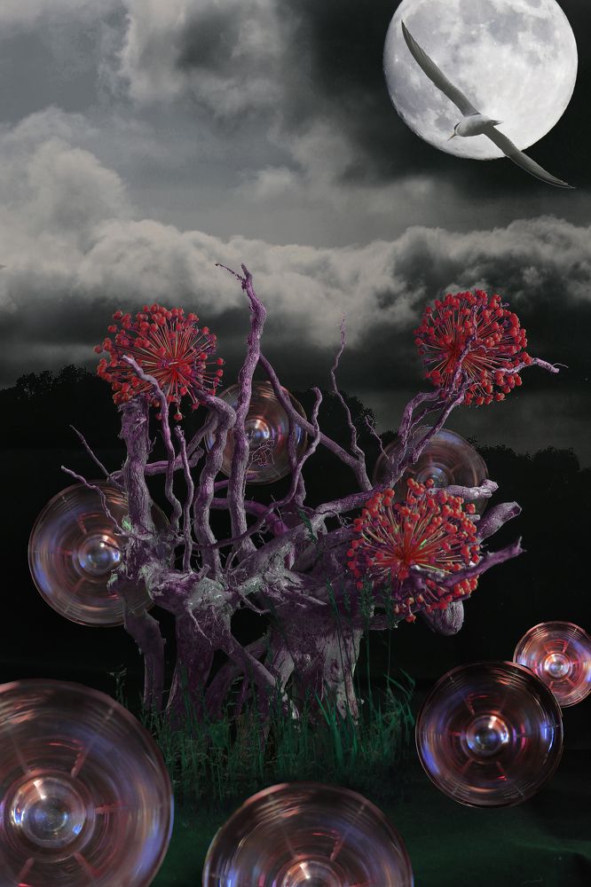 Фантастический мир или куда приводят мечты...