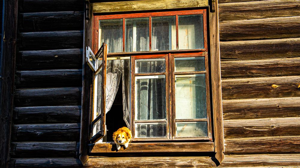 Photograph by Александр Вагнер