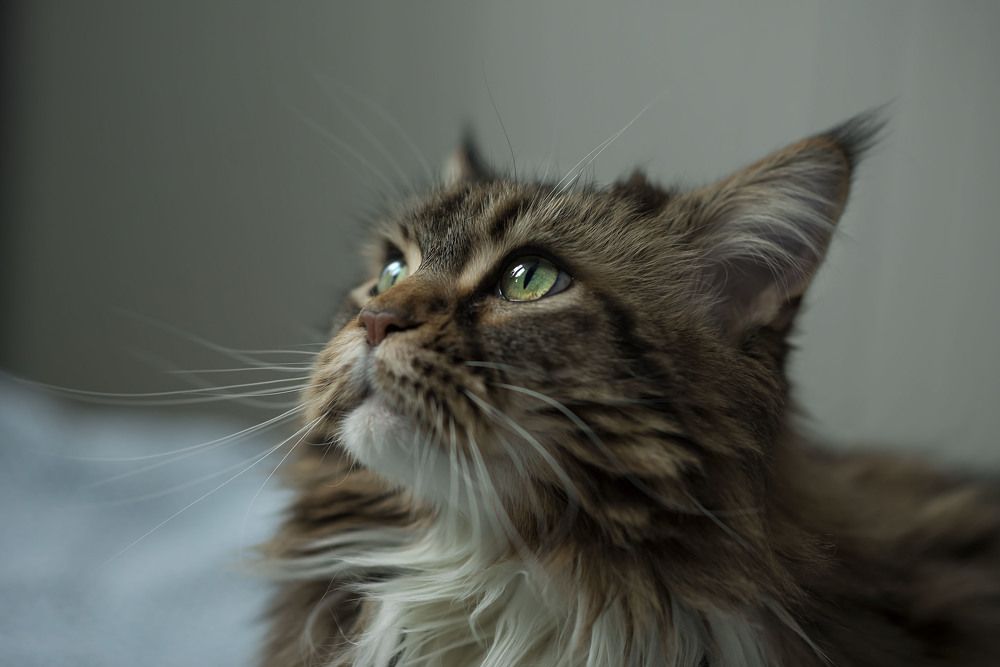 Photograph by Анна Цыплакова