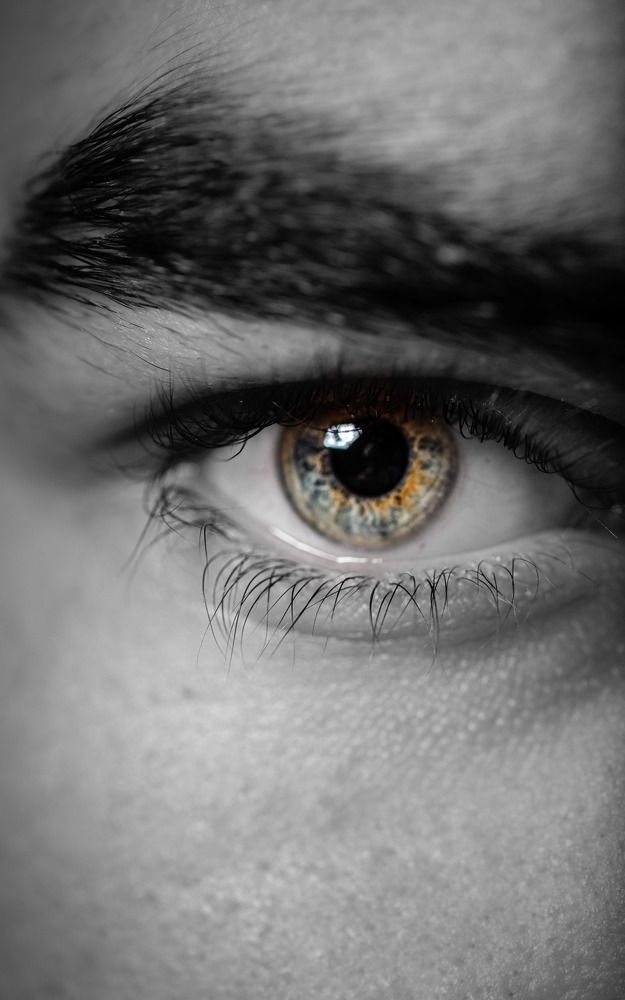 Фотография автора Dmitriy Sotnikov