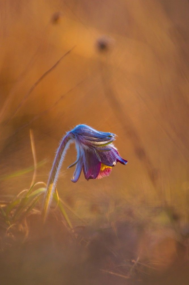 Photograph by Matija Simunic