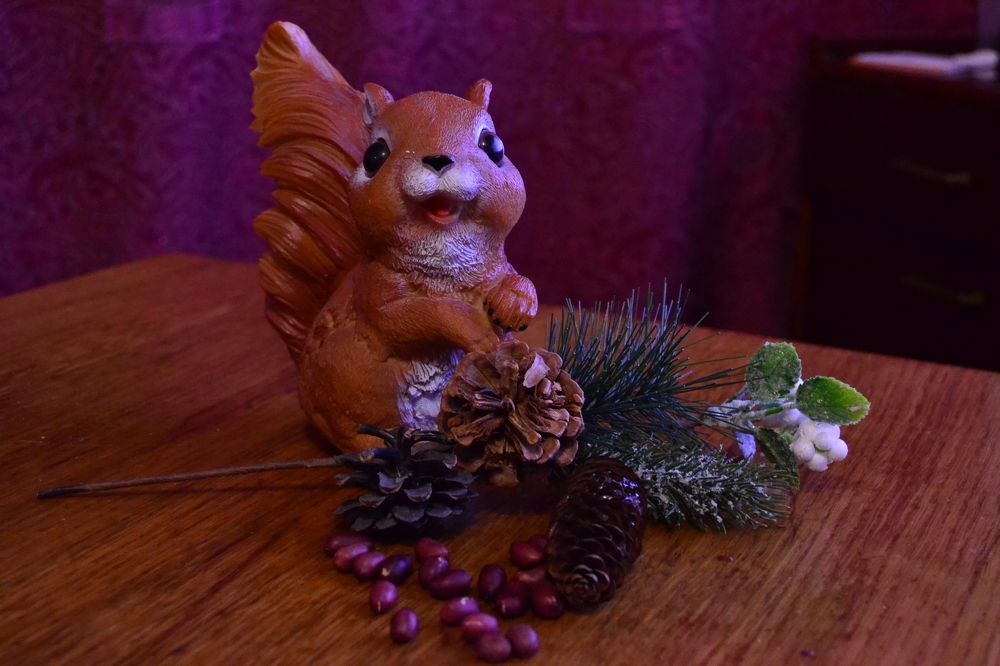 Photograph by Камила Борисоглебская