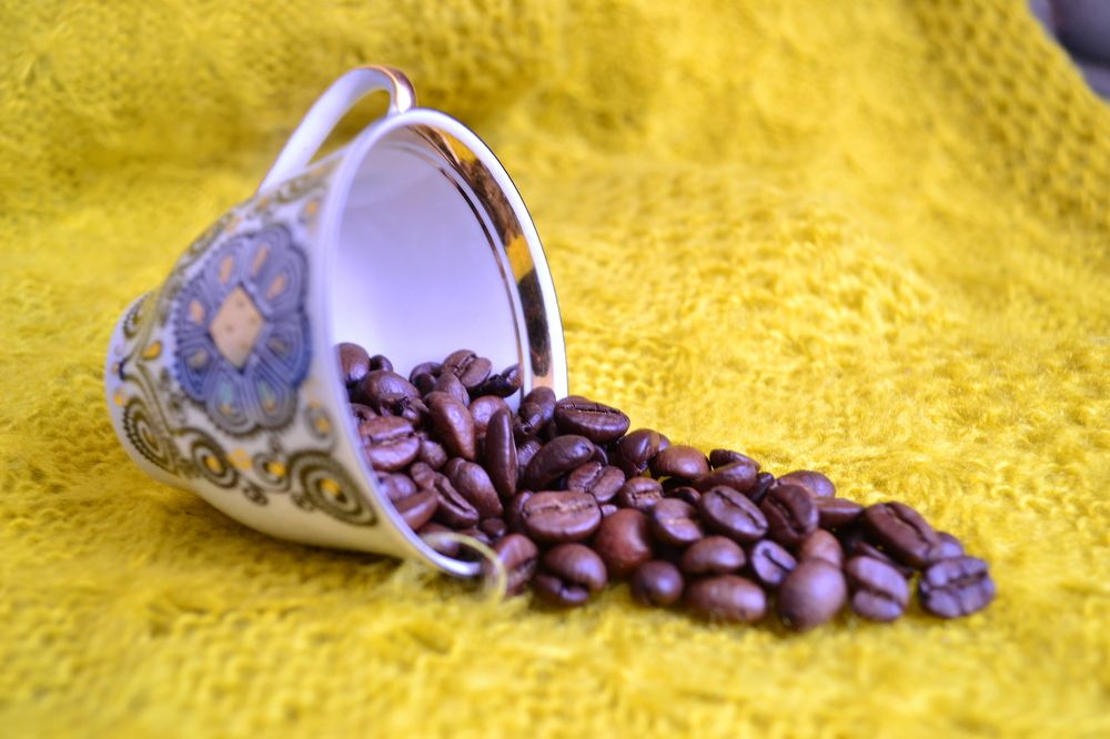 Photograph by Камила Борисоглебская