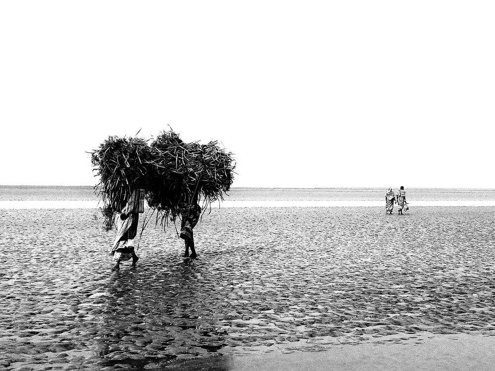 Photograph by SANDIP BANERJEE