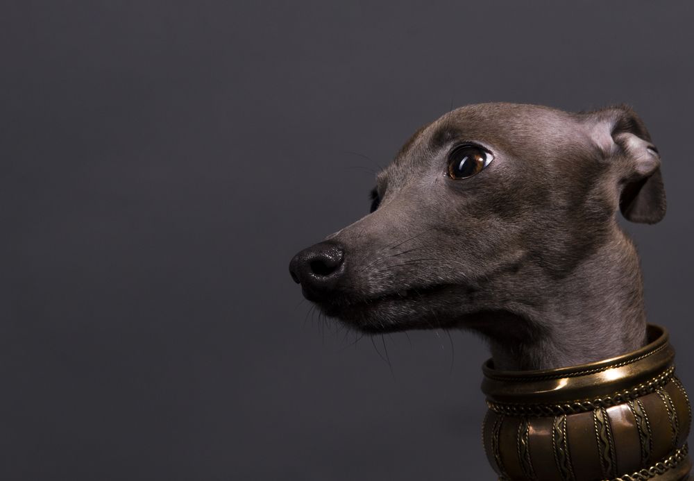 Photograph by наталья залогина