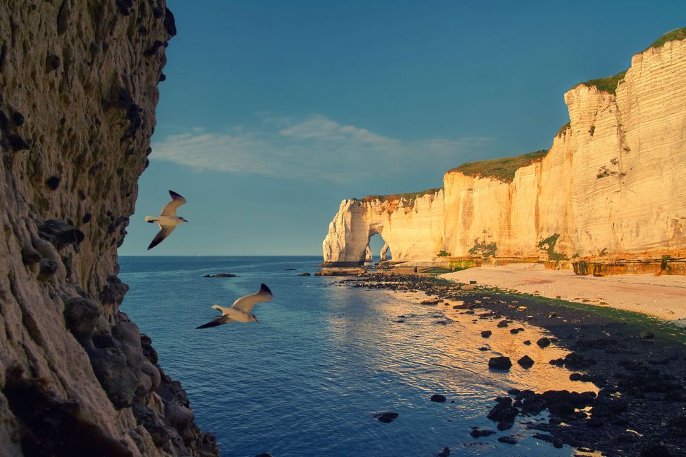 Photograph by Алексей Горшенин