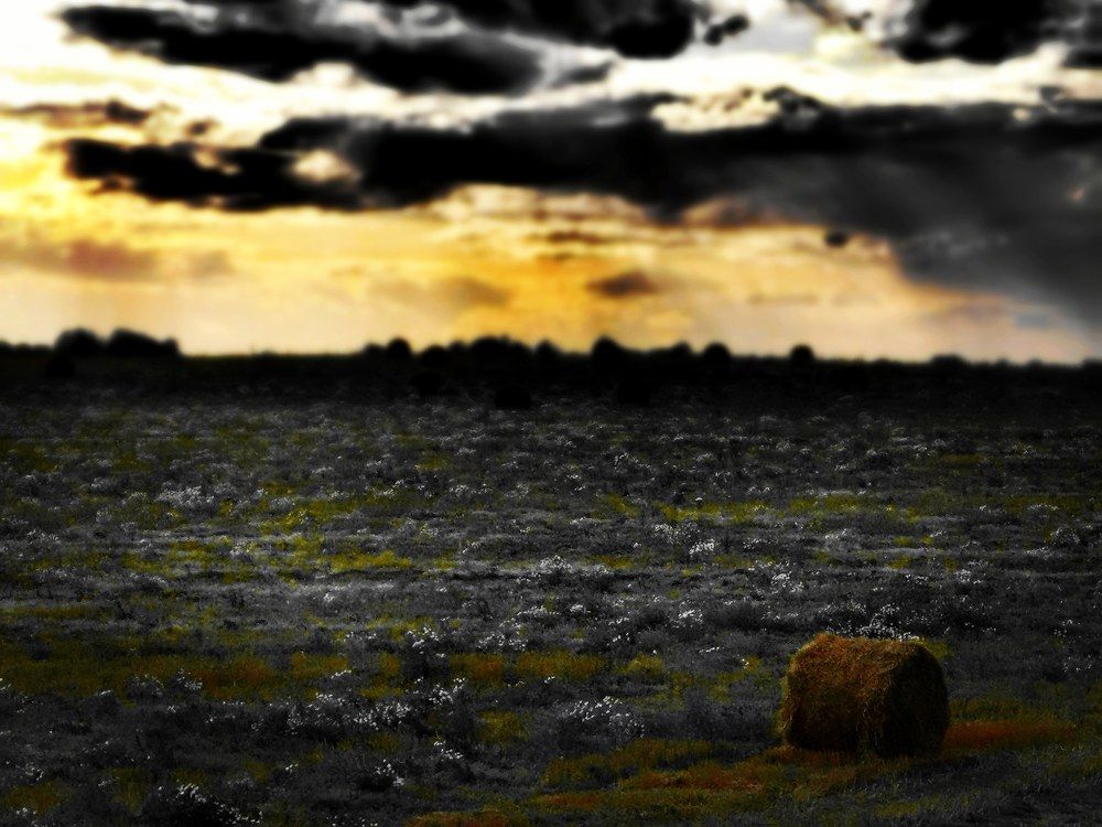 Фотография автора Павел Барский