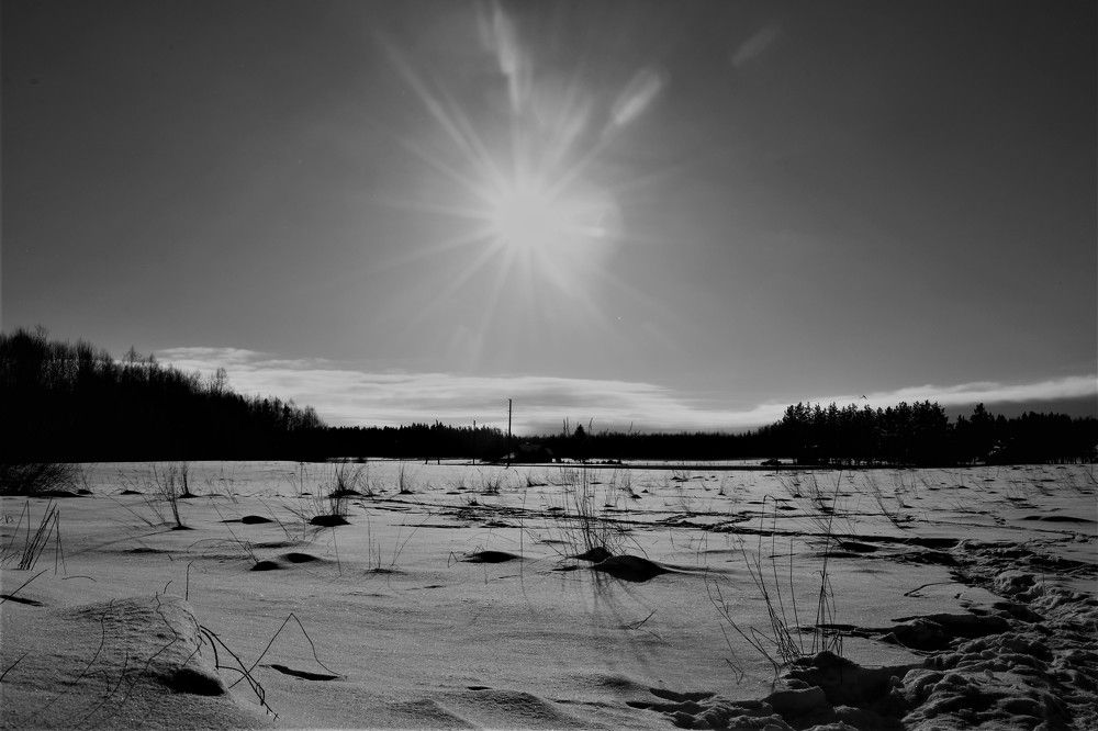 Photograph by Alvydas Baltakis