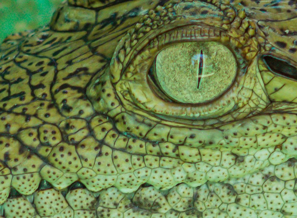 Photograph by Carlos Macias