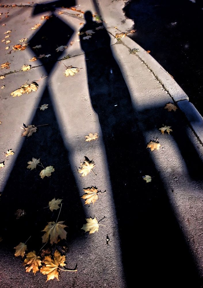 Photo #5964714