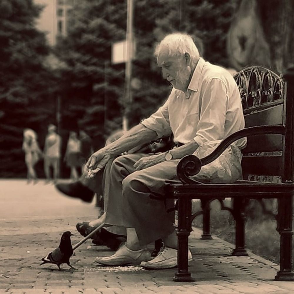 Photograph by Александр Усенко