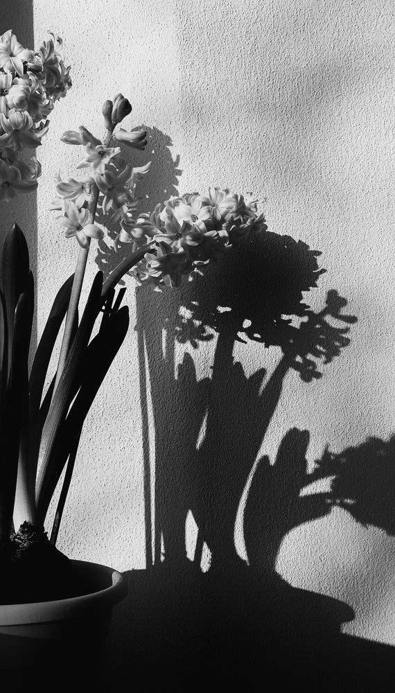 Photograph by Yulia Bilato