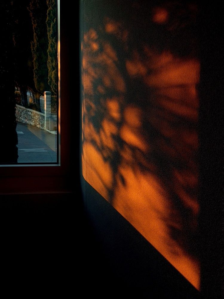 Photograph by Yulia Bilato