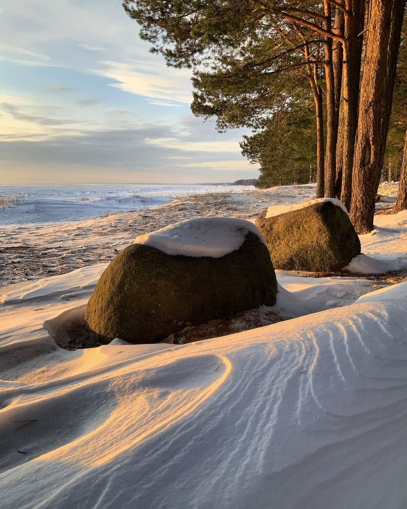 Photograph by Светлана Коган