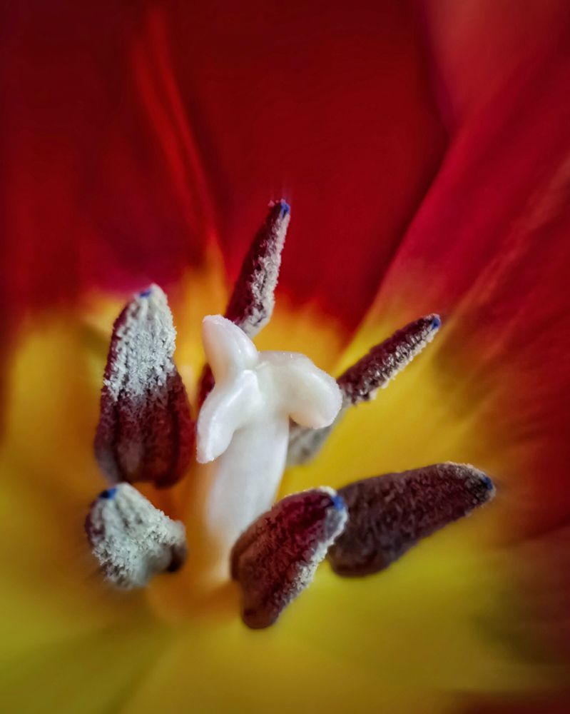 Photograph by Алексей Копылов