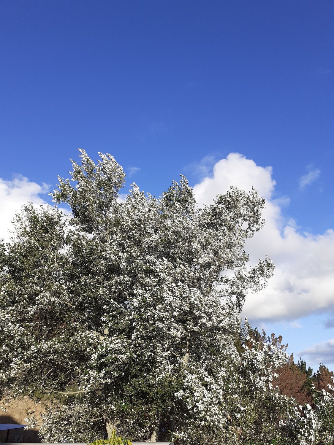 Photo #5964933