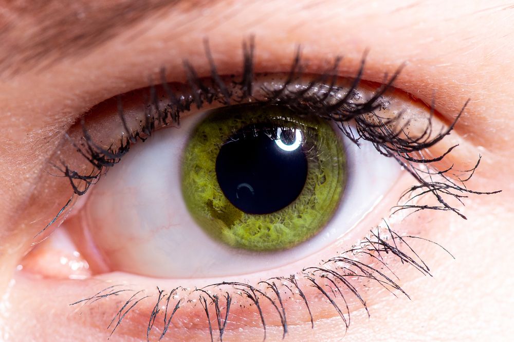 Photograph by Дарья Кожухова