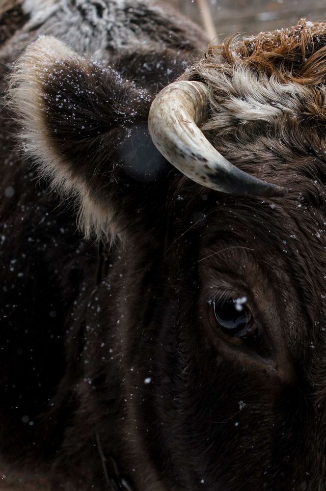 Photograph by Марина Крюкова