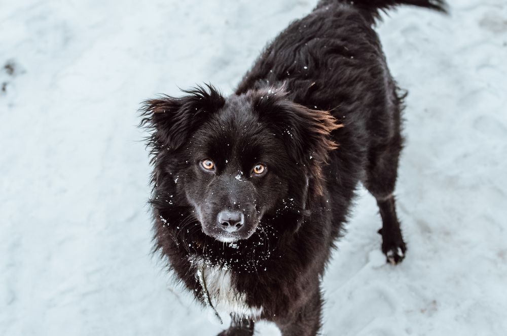 Photograph by Марина Крюкова