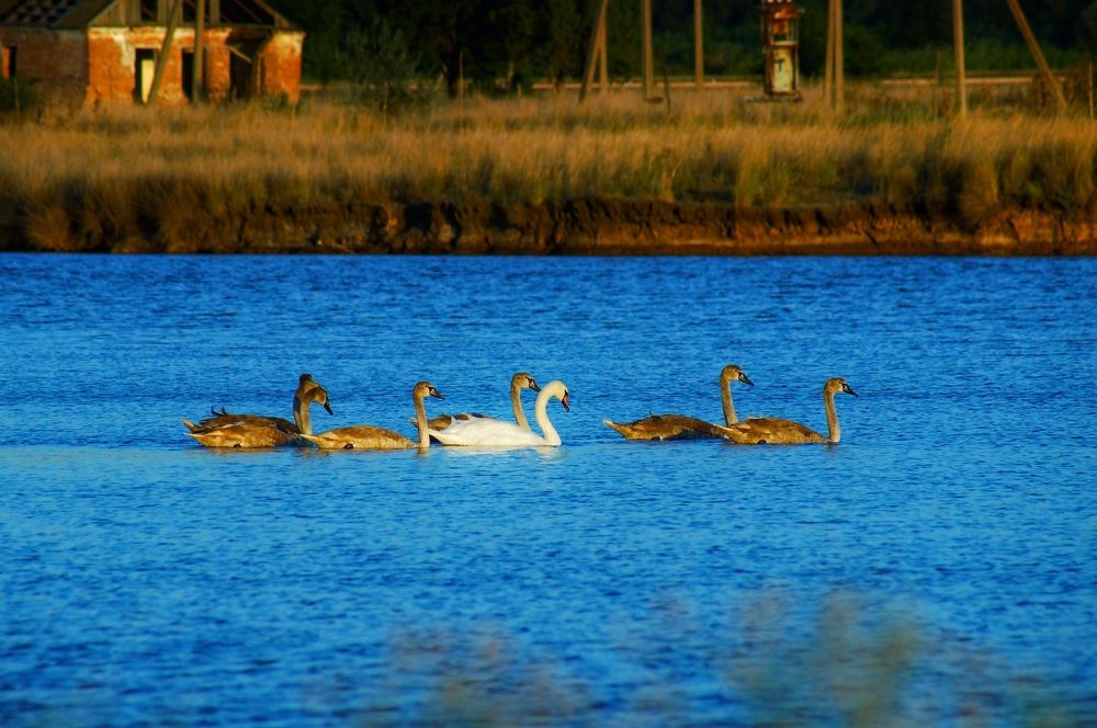 Фотография автора Артемий Николаевич