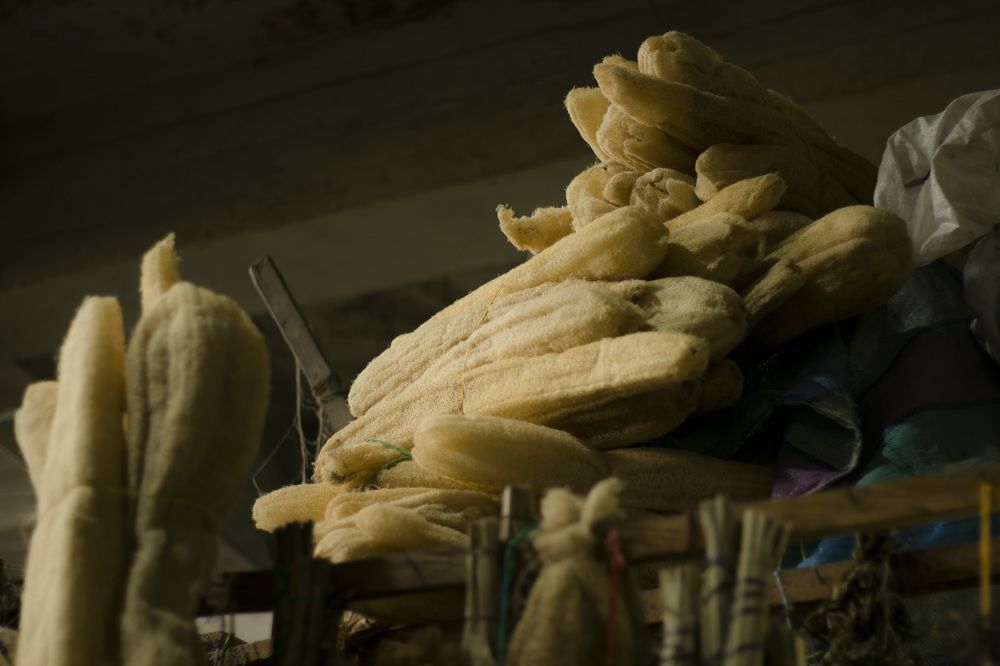 Photograph by Maria de los Angeles Osorio