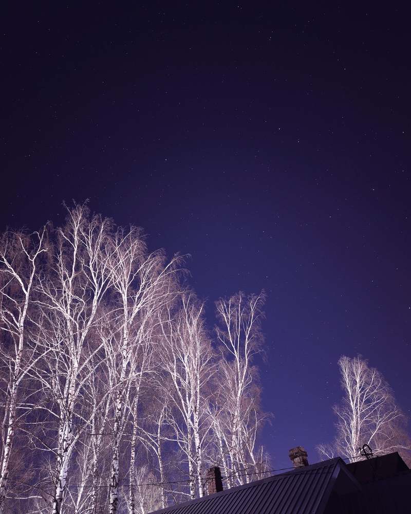 Photograph by Юлия Плаксина