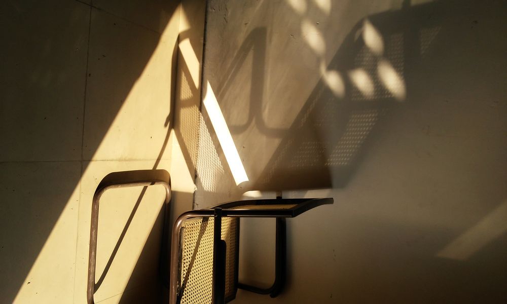 Photograph by shashiranjan prakash