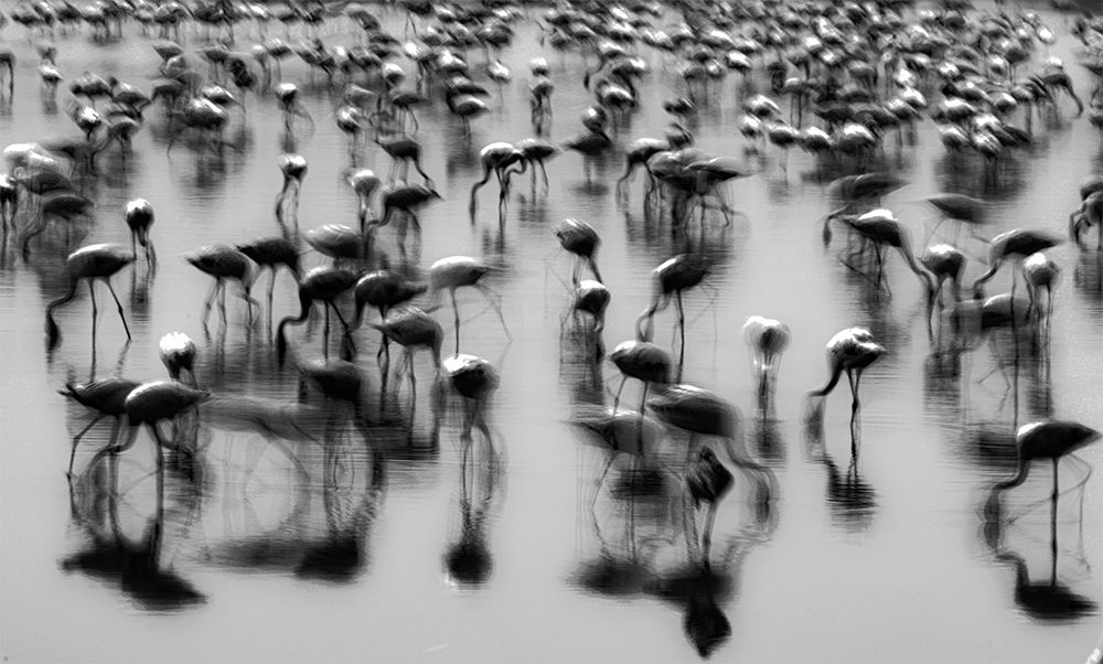 Photograph by Sandeep Pangerkar