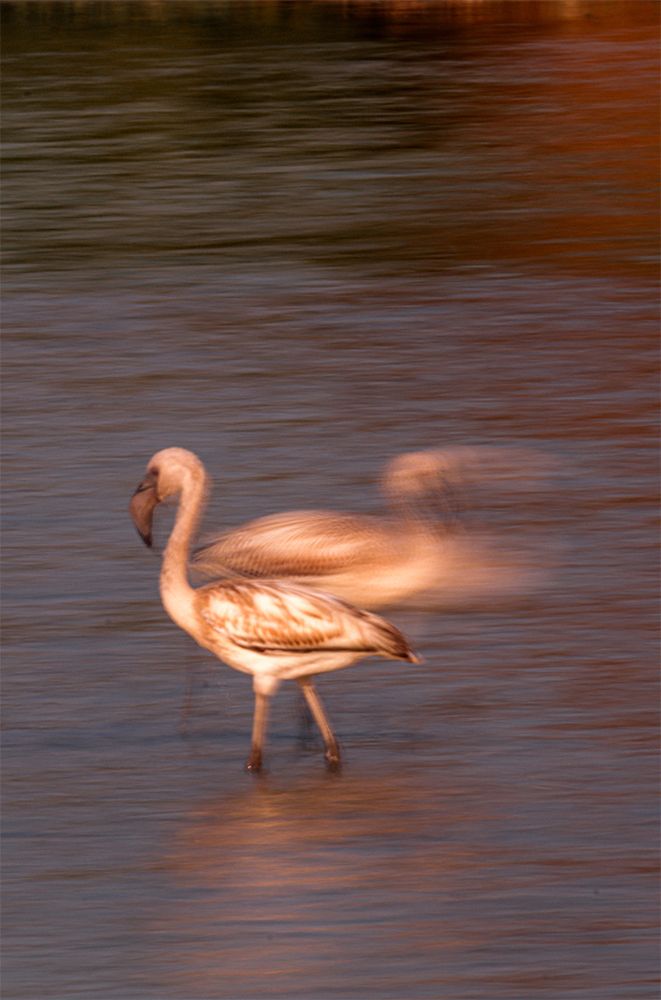 Photograph by Sandeep Pangerkar