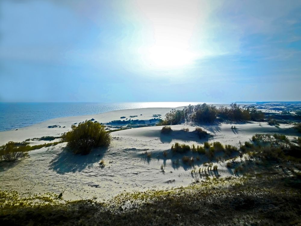 Калининградская область. Куршская коса. Дюны