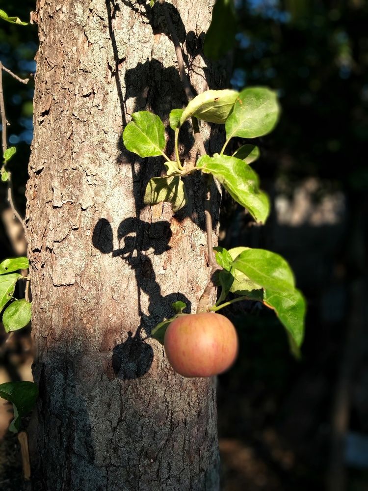 Солнечный день