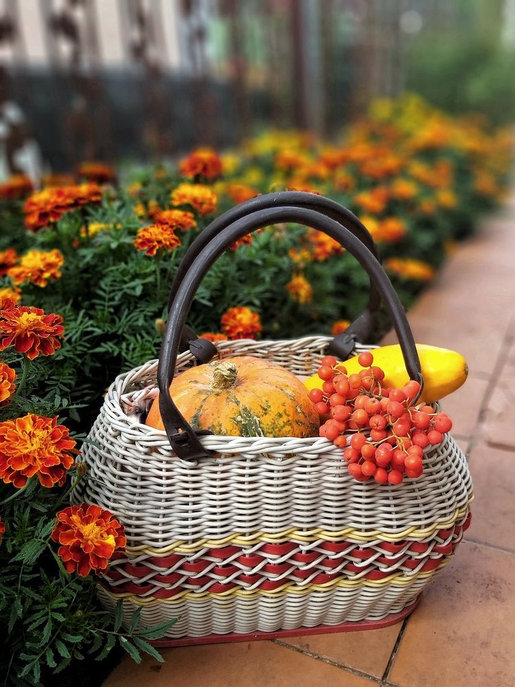 Осенний этюд