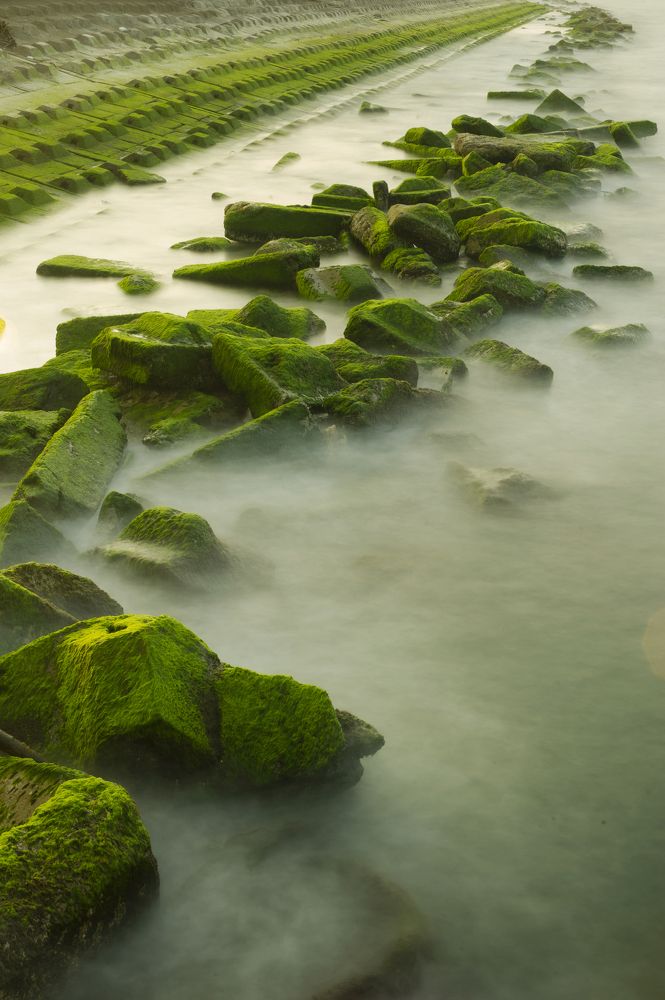 Photograph by Thanh Lun Le