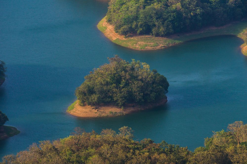 Photograph by Harisankar B