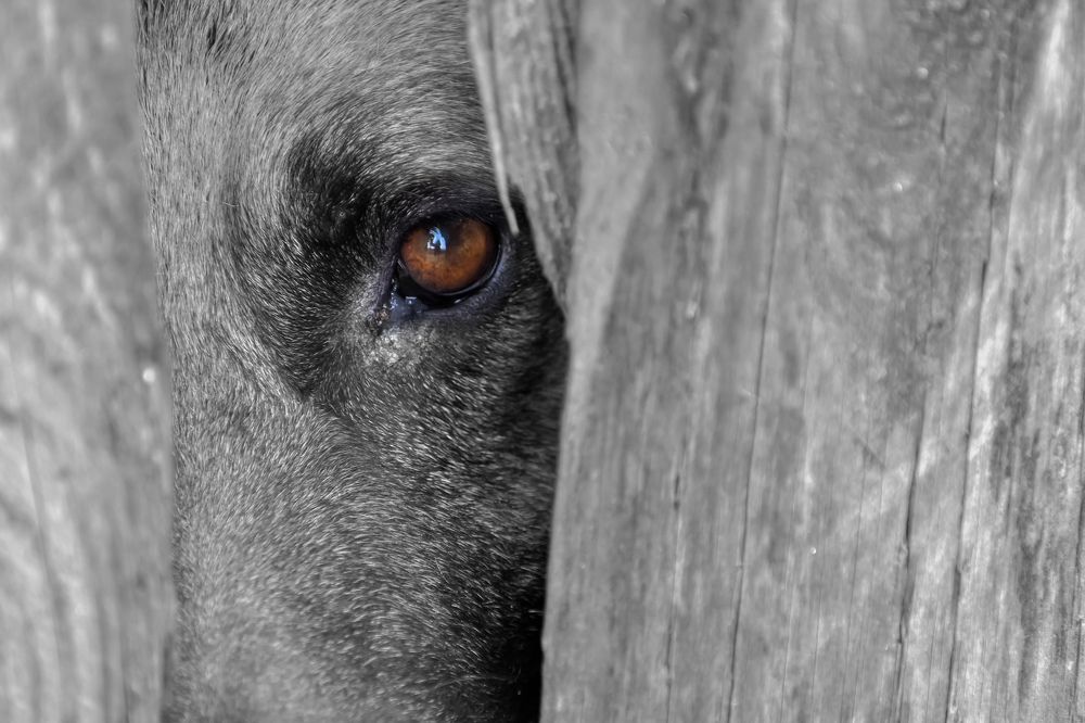 Photograph by Margarita