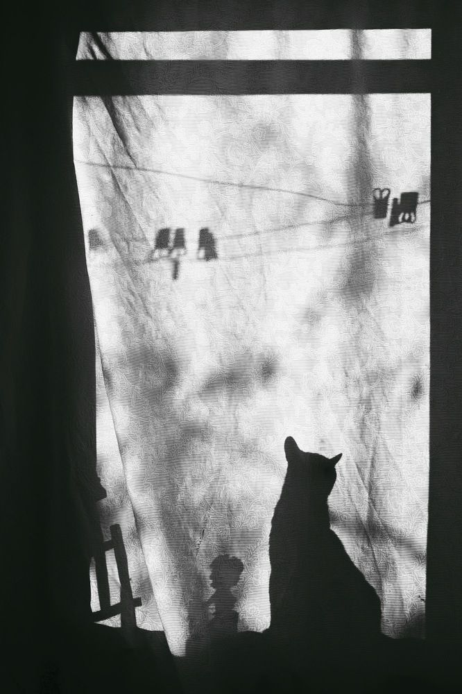 Photograph by Ирина Дубровская