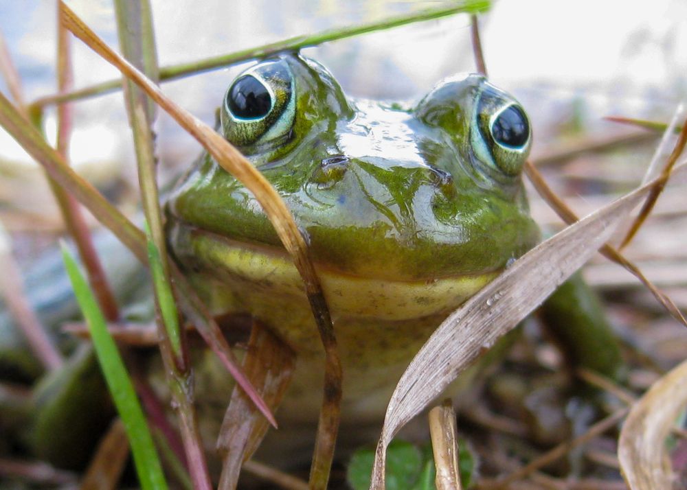 Photograph by Margarita