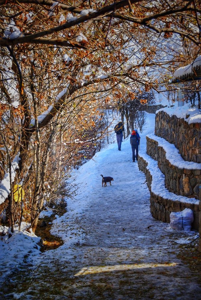 Photograph by Mohammadali Akhondian