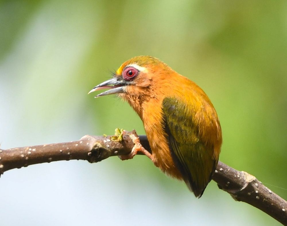 Photograph by Satirtha Ghosh