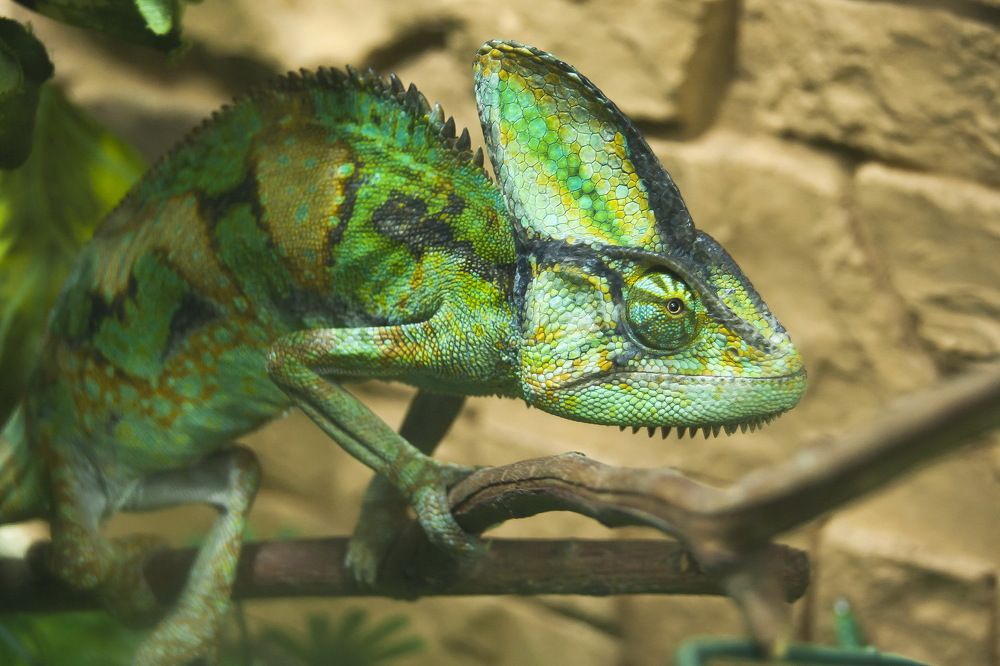 Photograph by Екатерина Бахтинова