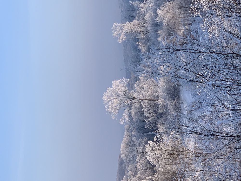 Photograph by Paul Padurariu