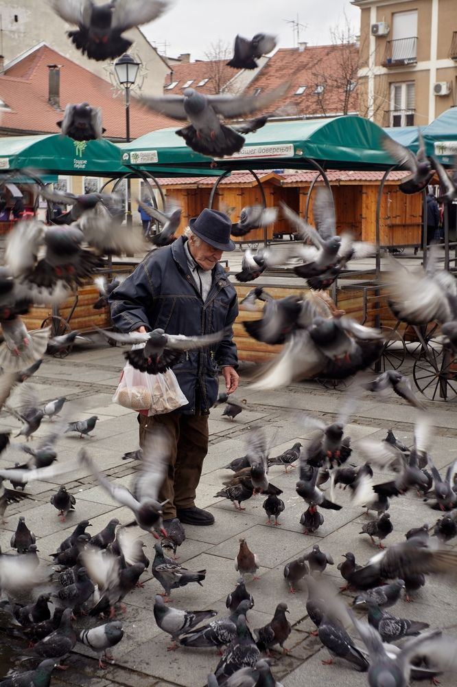 Photograph by Николай Лагоденко