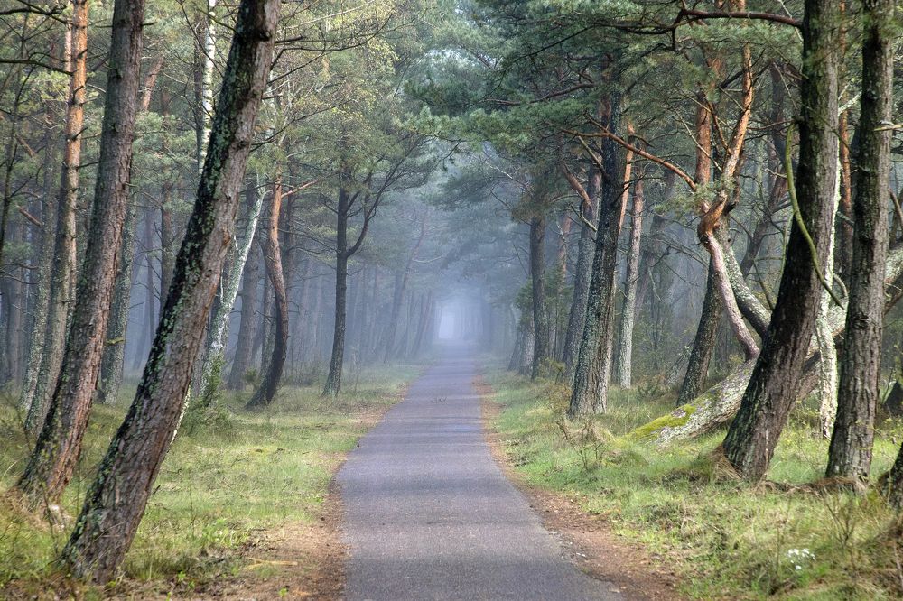 Photograph by Rolandas Valančauskas