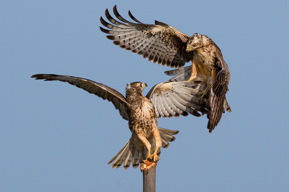Photograph by Mrinal Sen