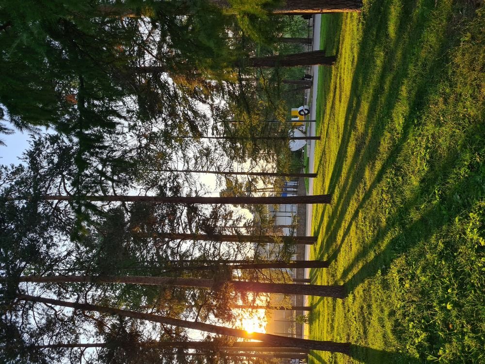 Photograph by Анастасия Коваль