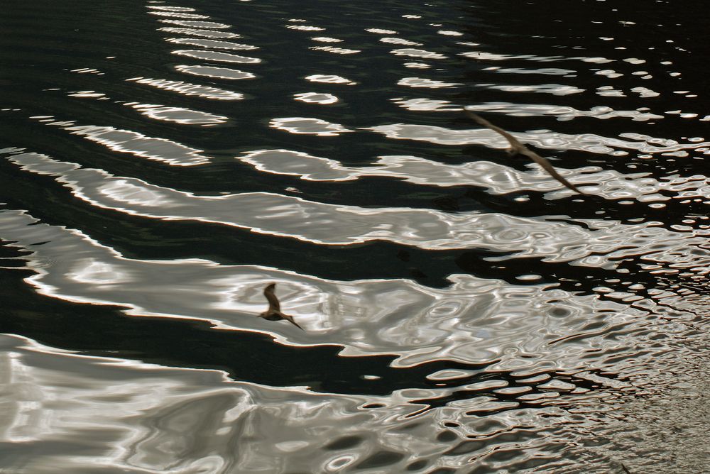 Photograph by Алекс Миловский