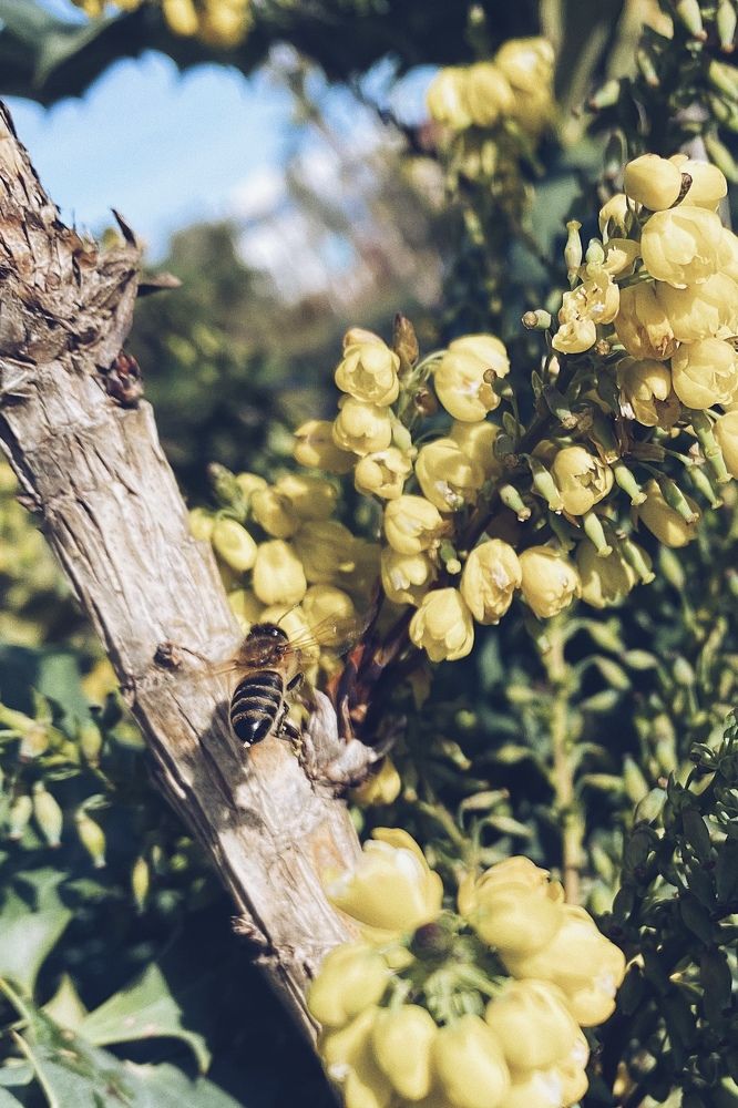 Photograph by Дарья Зайкина