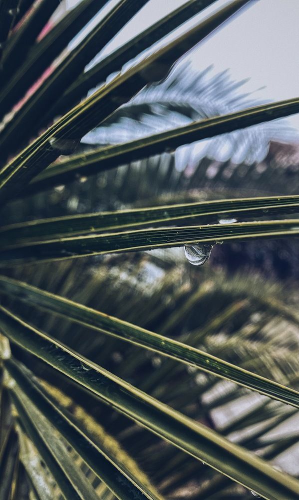 Photograph by Дарья Зайкина