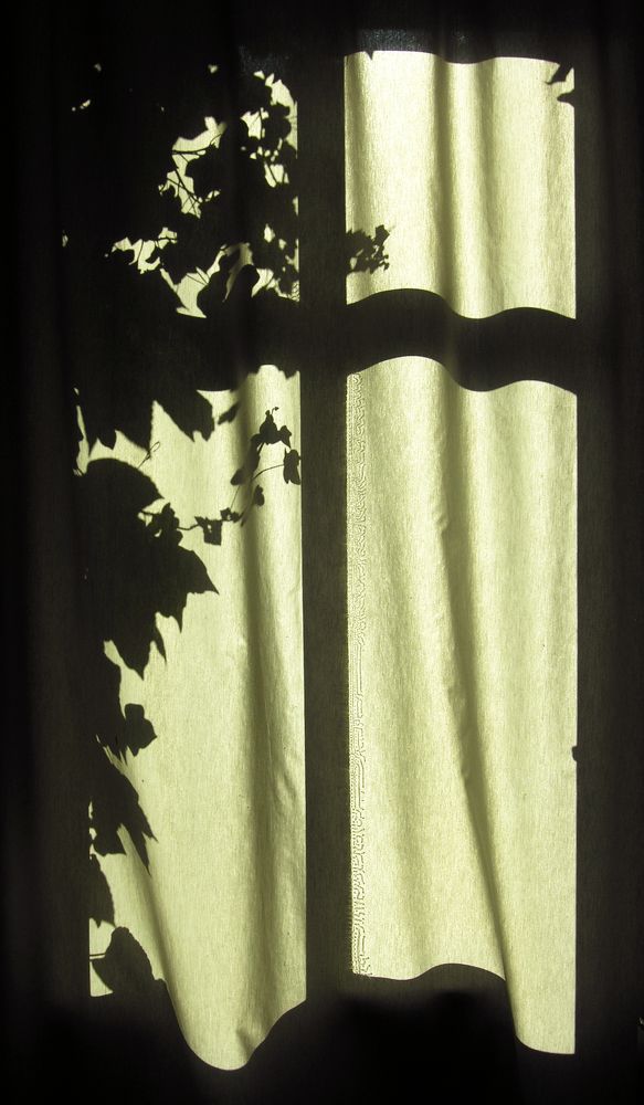 Photograph by Алекс Миловский